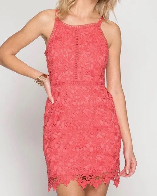 Ashlyn Sleeveless Lace Bodycon Dress in Coral