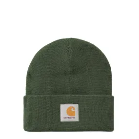 Carhartt WIP Short Watch Hat Sycamore Tree