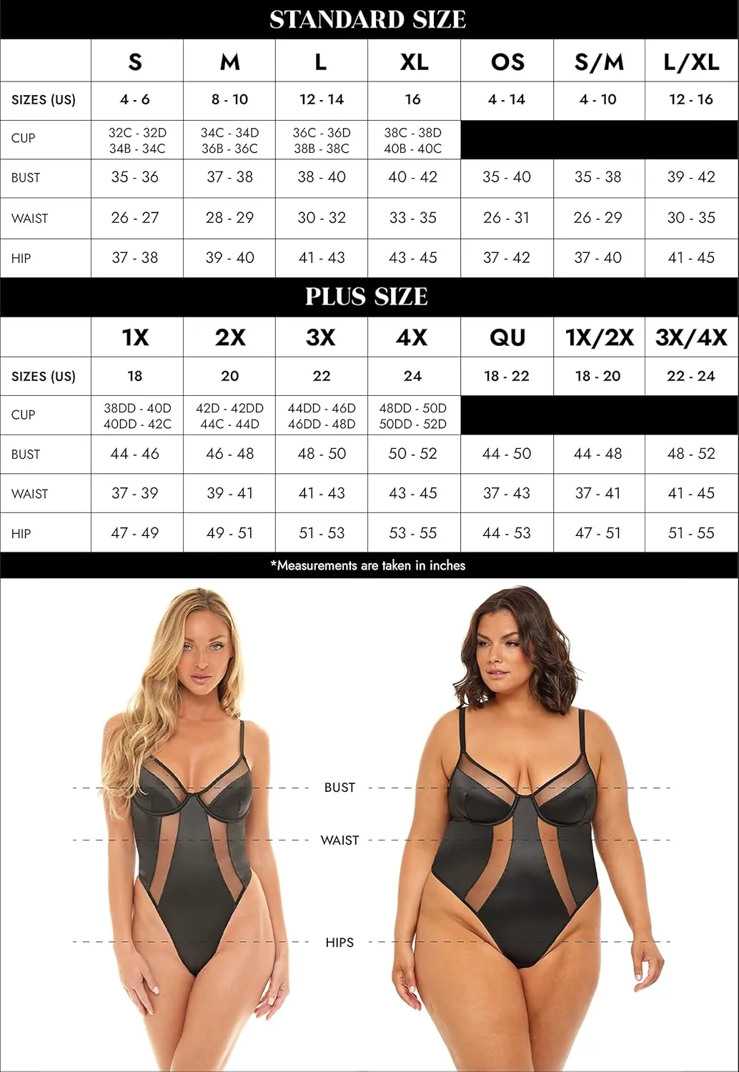 Fetish Curvy Finesse Sheer Babydoll Dress - BLACK