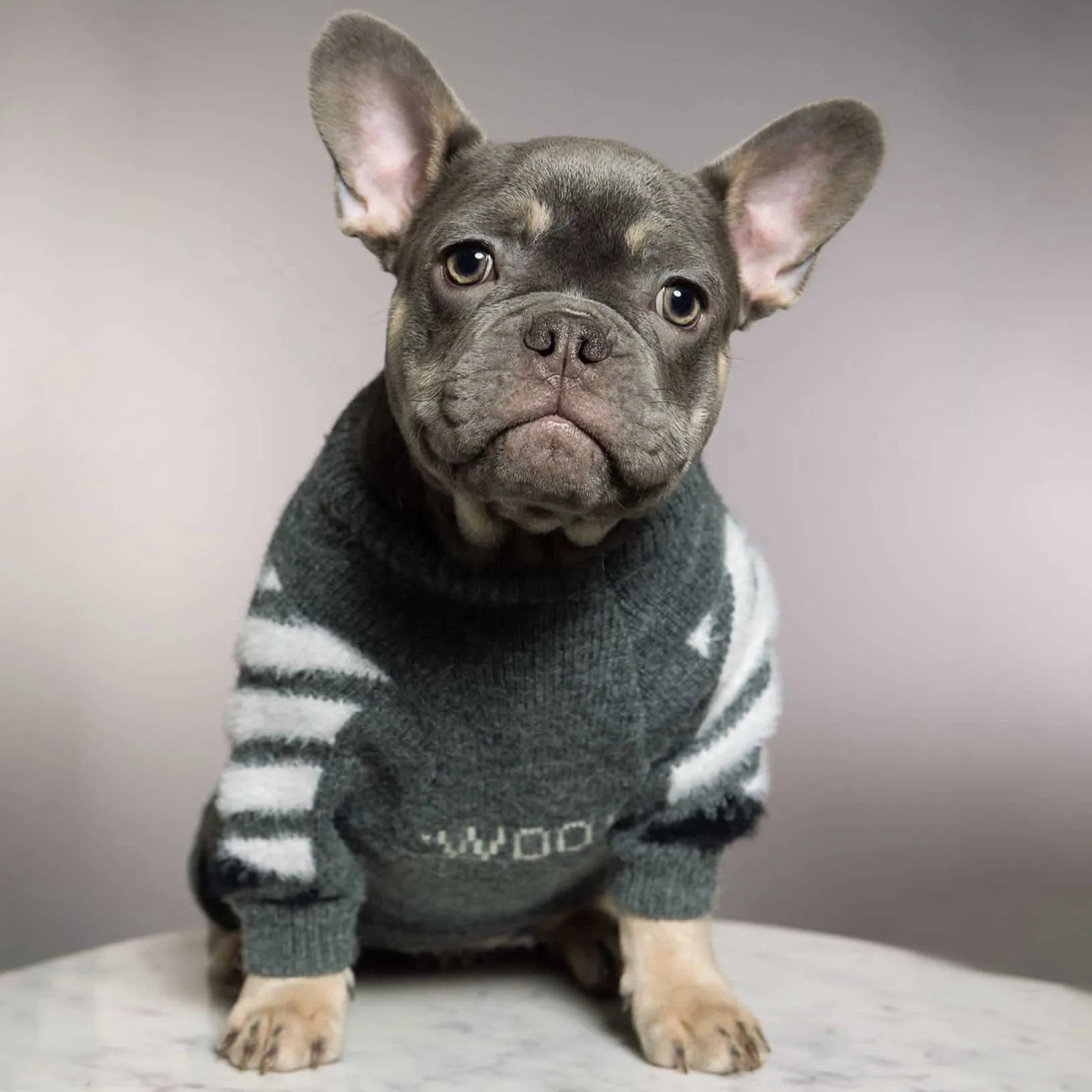 Frenchup™ - Frenchie Woof Winter Sweater V1