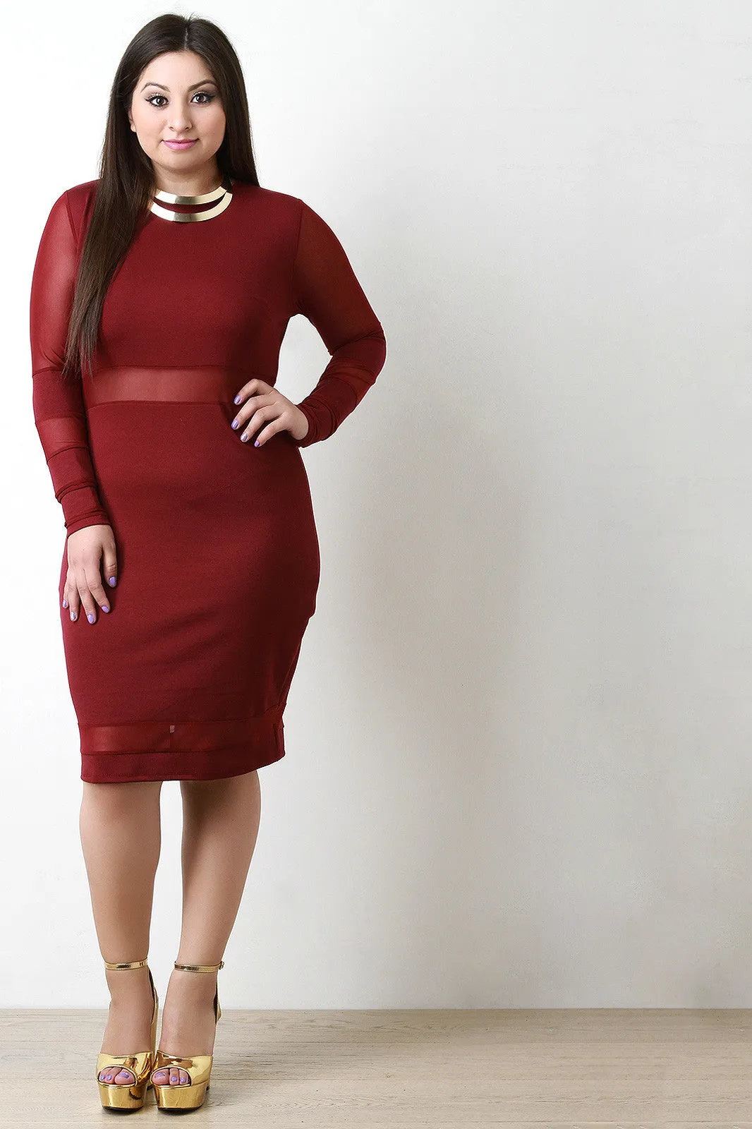 Long Sleeves Mesh Bodycon Dress