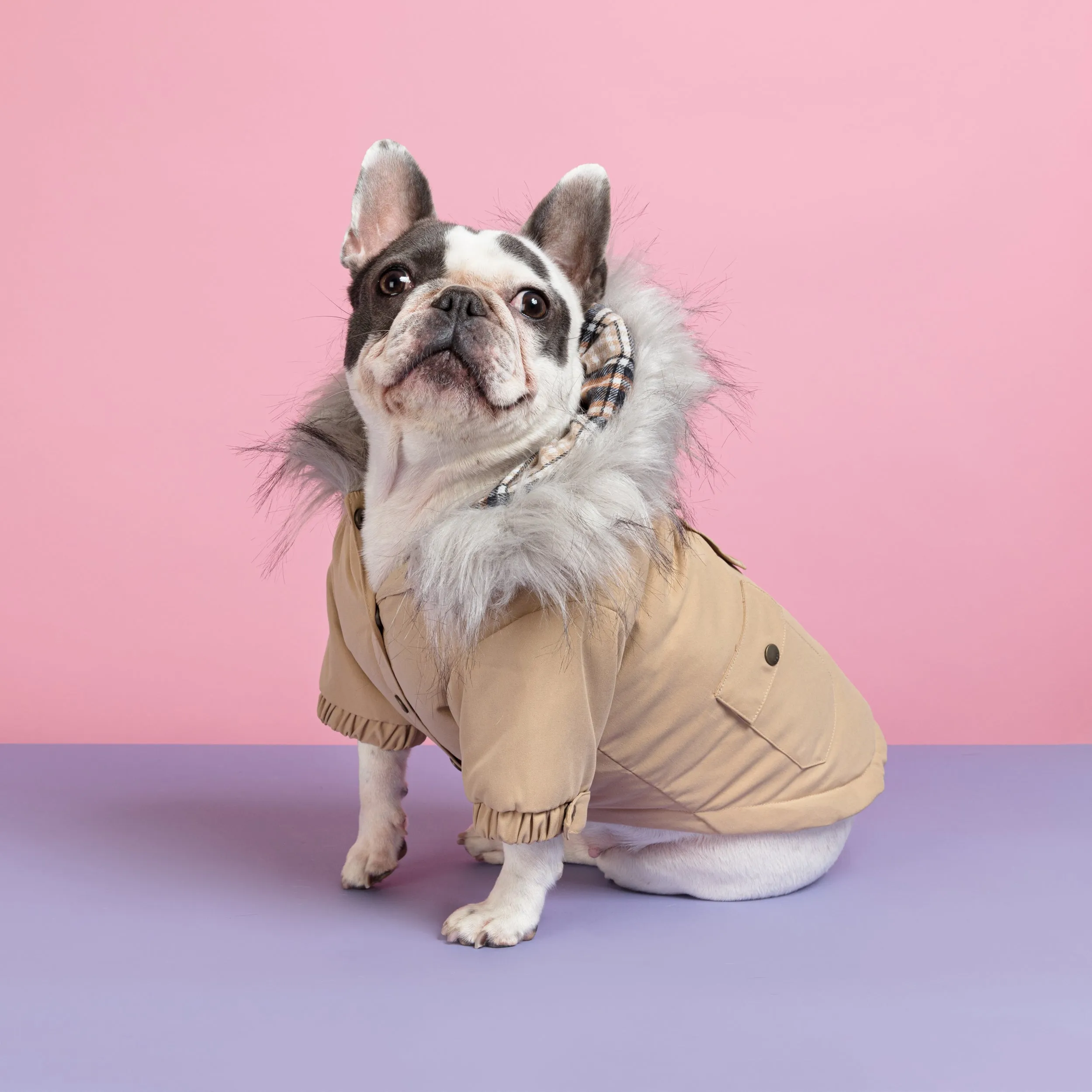 Manhattan Parka Jacket Dog Coat