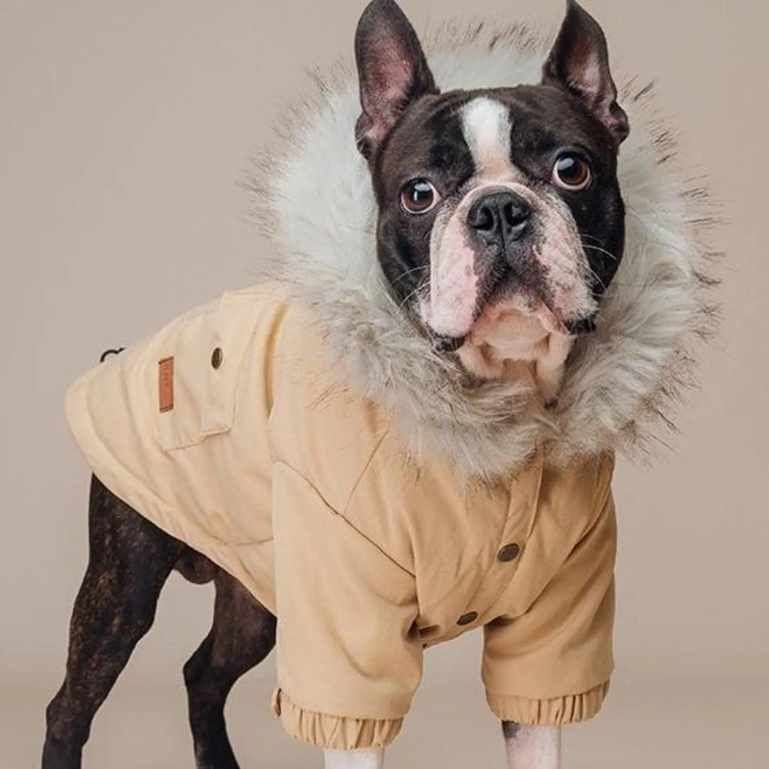 Manhattan Parka Jacket Dog Coat