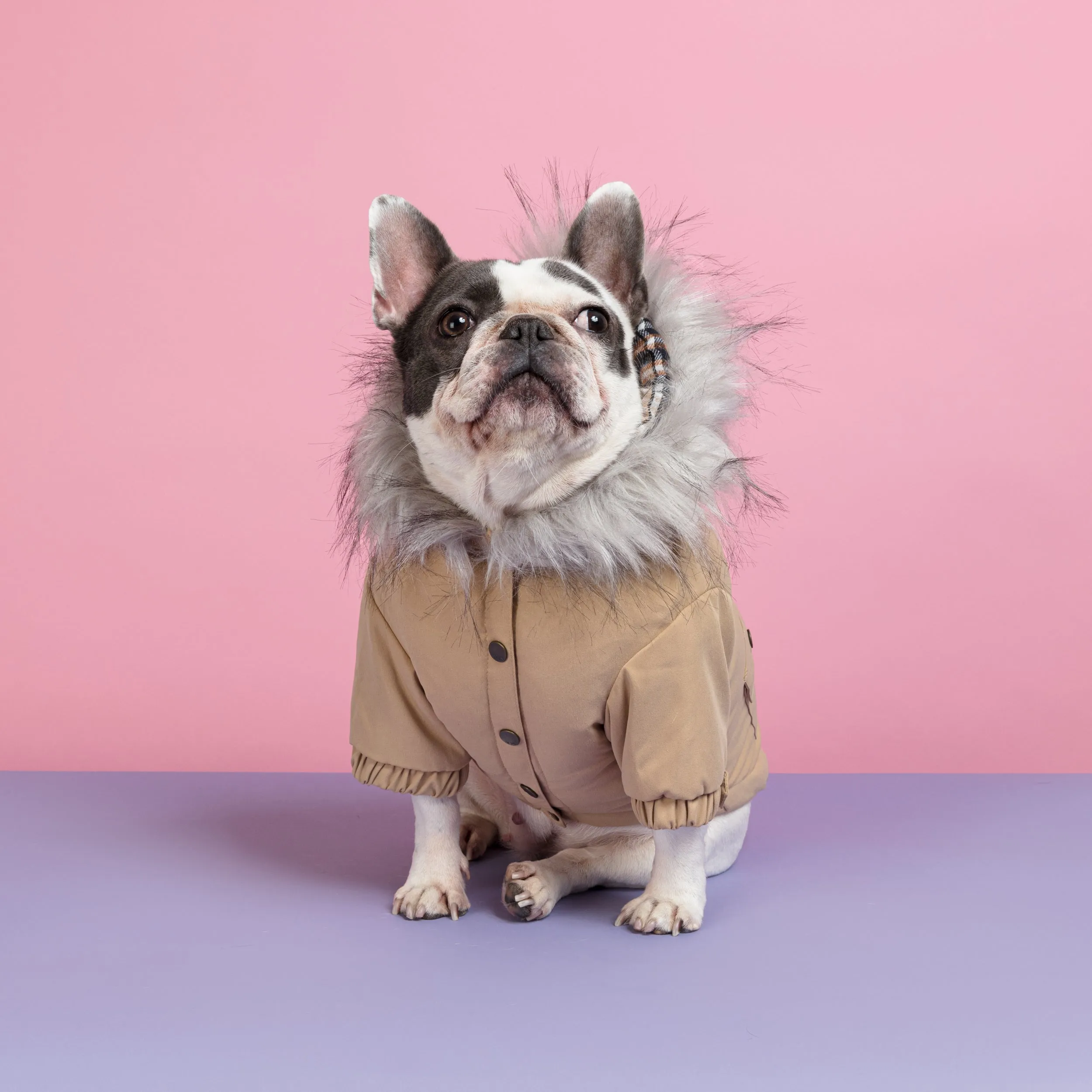 Manhattan Parka Jacket Dog Coat