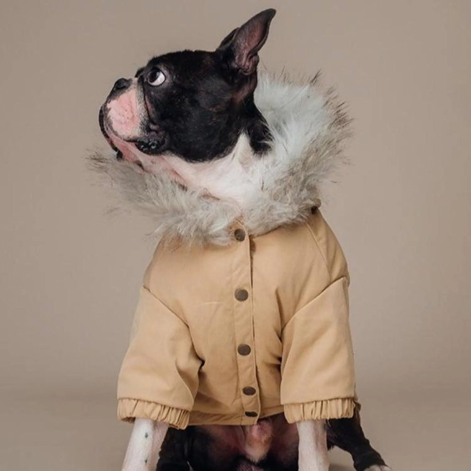 Manhattan Parka Jacket Dog Coat