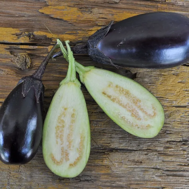 Patio Baby Eggplant (F1 Hybrid 45 Days)