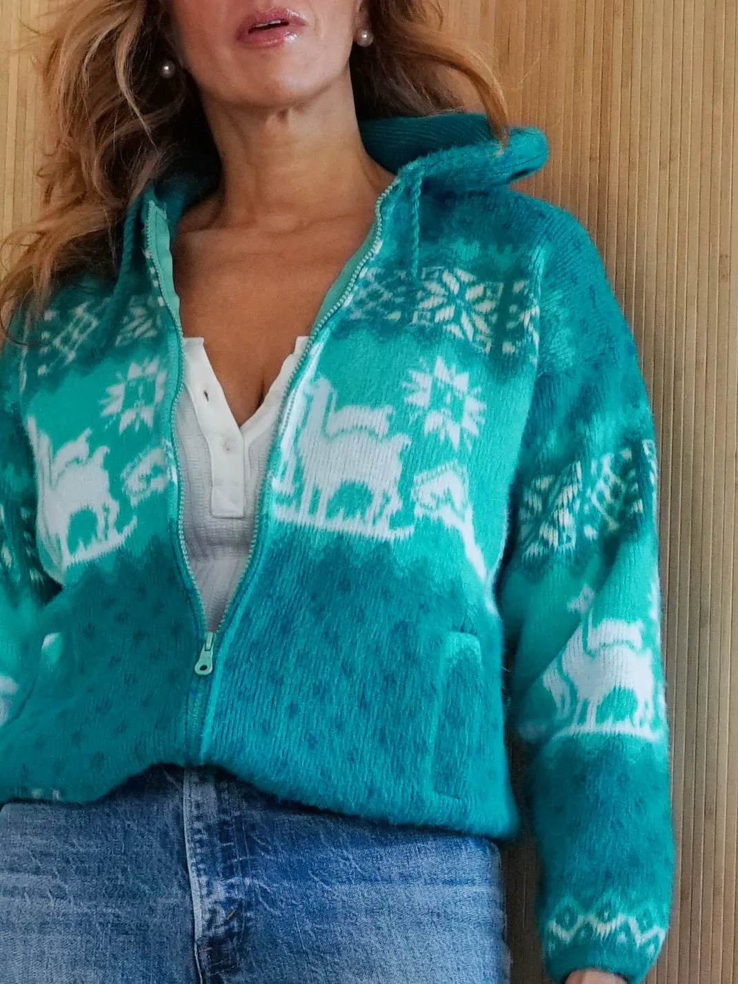 Vintage Alpaca Motif Hoodie Sweater