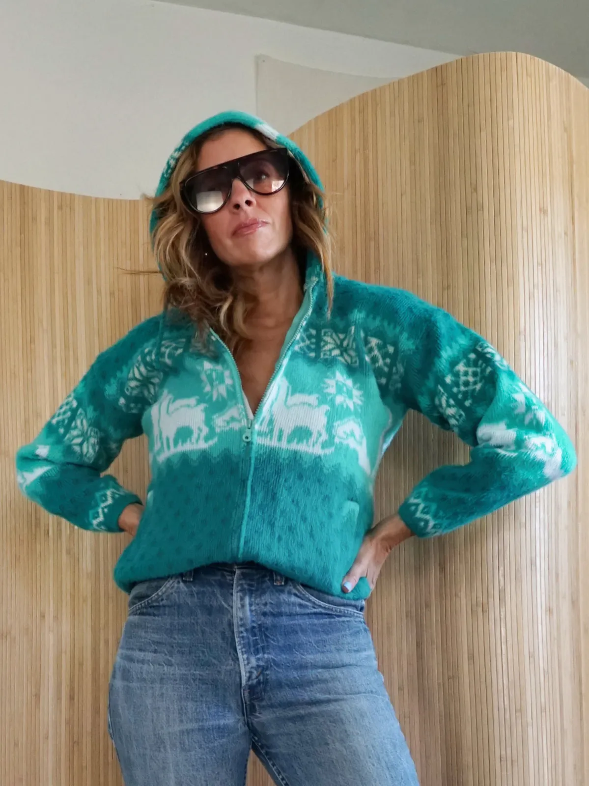 Vintage Alpaca Motif Hoodie Sweater